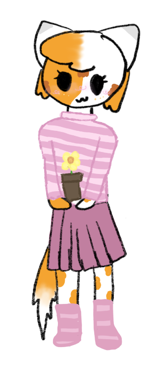 IMG-3411.png
