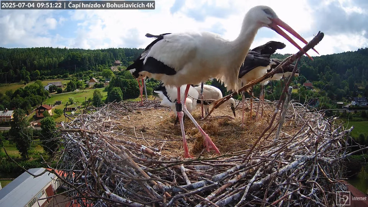Živě z čapího komína firmy KARA v Bohuslavicích u Trutnova 9-30-30 screenshot