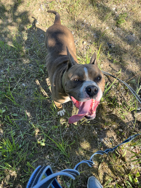 337F4EF0-F85F-428C-9DE8-2AA43B81BFB1