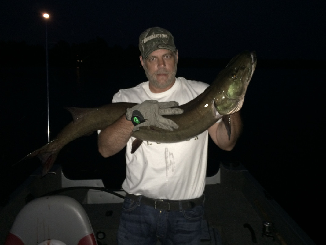 1CF45E21-B056-4E8A-A88A-B6A05D19A8C2