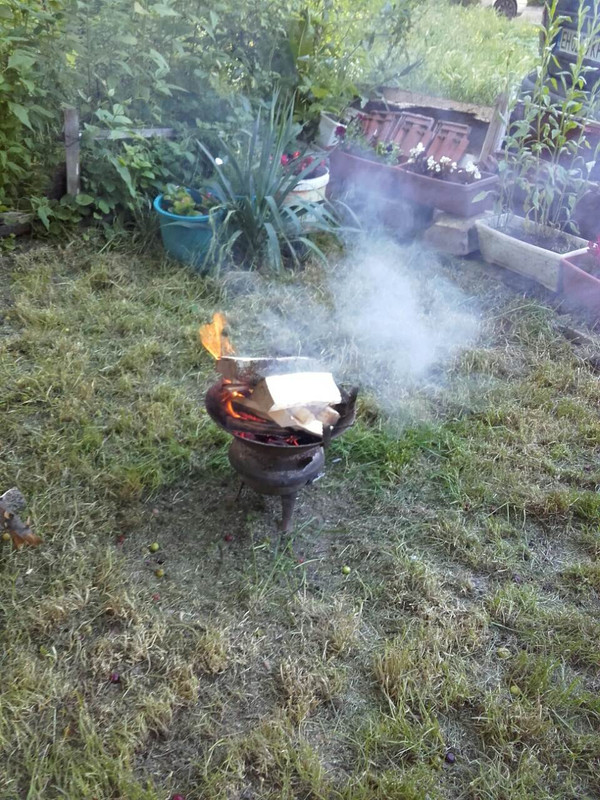 viber_изображение_2019-05-26_19-06-52