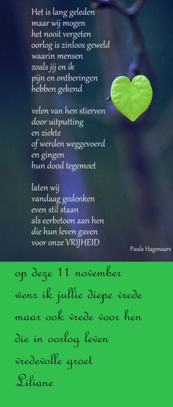 a6958d036952cc5516c90802f6e04902