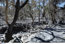 ΣΥΝΑΝΤΗΣΗ ΓΙΑ ΤΙΣ ΑΠΟΖΗΜΙΩΣΕΙΣ ΑΓΡΟΤΩΝ–ΚΤΗΝΟΤΡΟΦΩΝ ΠΟΥ ΕΠΛΗΓΗΣΑΝ ΑΠΟ ΤΗ ΦΩΤΙΑ: ΘΕΤΙΚΟ ΣΗΜΑ ΑΠΟ ΤΟ ΥΠΑΑΤ