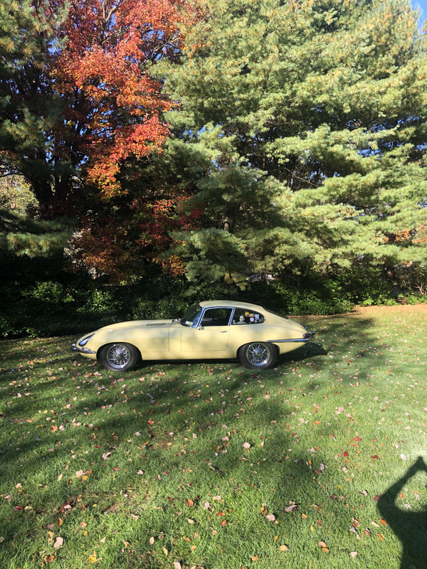 974FE6DC-2207-40D3-B58D-42EB74C9A734