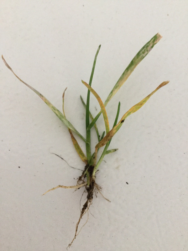 1AB6408D-D7BC-4EBE-90D5-191E42EA0C81