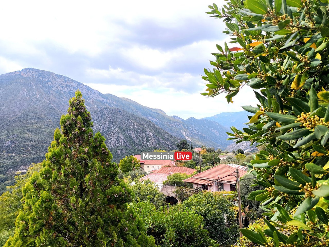 LADASIMG-20251012-131411