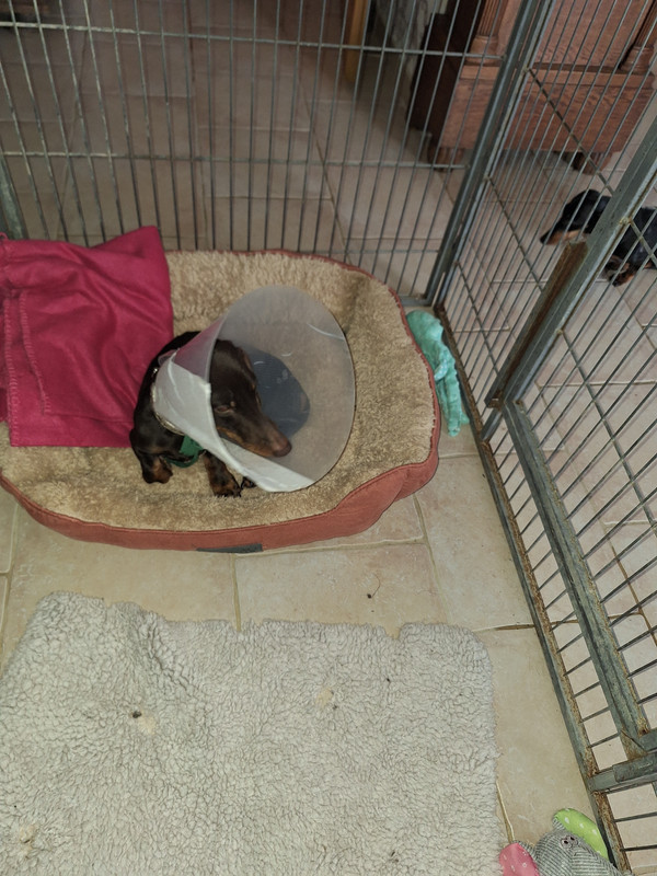 [Image: 20240221-124525.jpg]