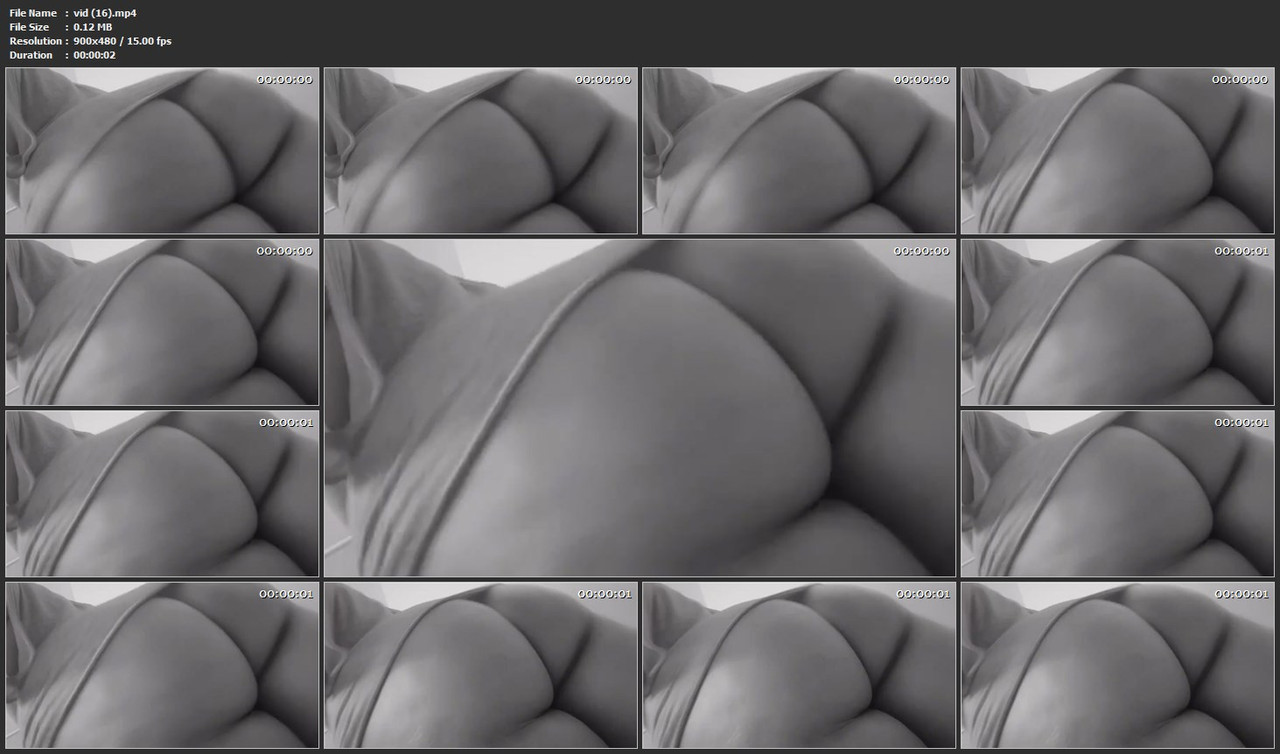 vid (16).mp4