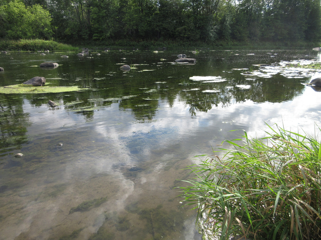 2018DQ-Milieu de la rivière