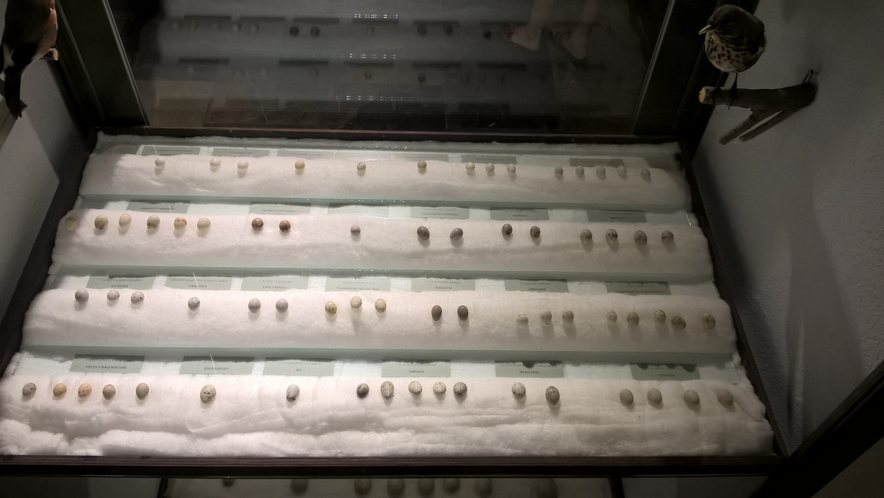 05 - WP_20160528_14_12_35_Pro (Yvonne)