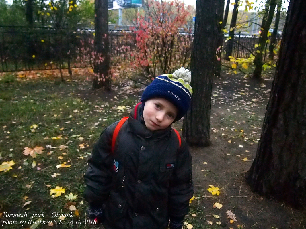 Воронеж, осень, парк