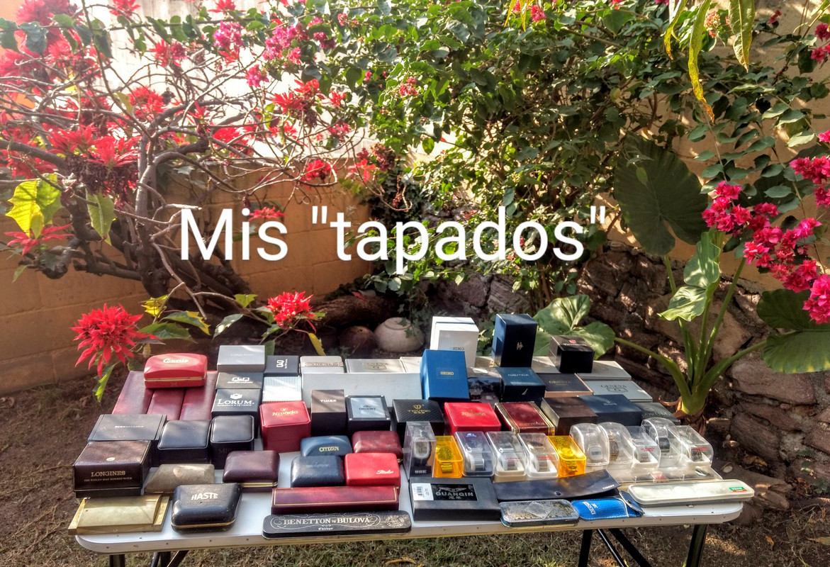 IMG_20191202_160556490_HDR~3