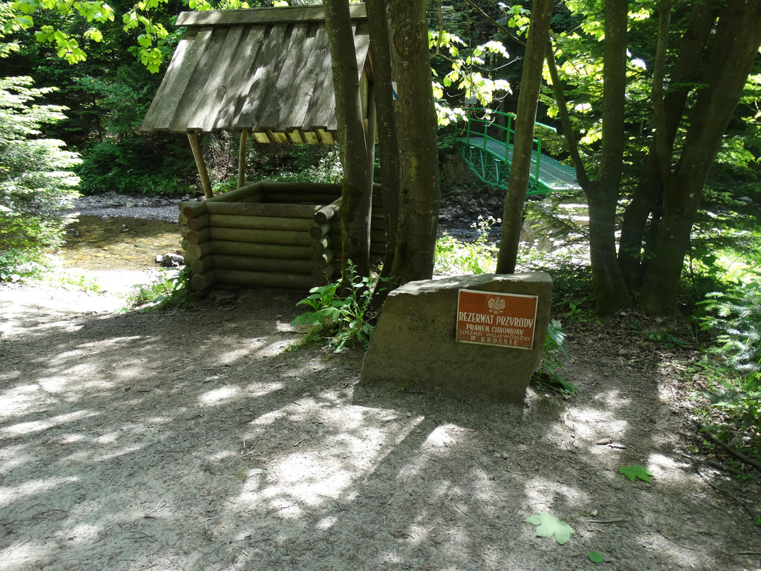 185 - DSC01477 (TomaszK)