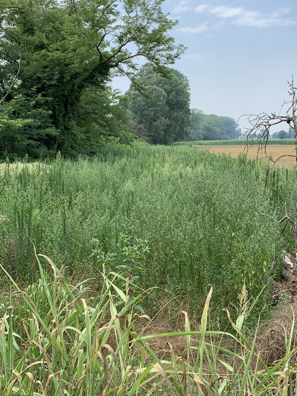 ECC00347-1C4F-486E-B7A7-3BF7ECD40C3E