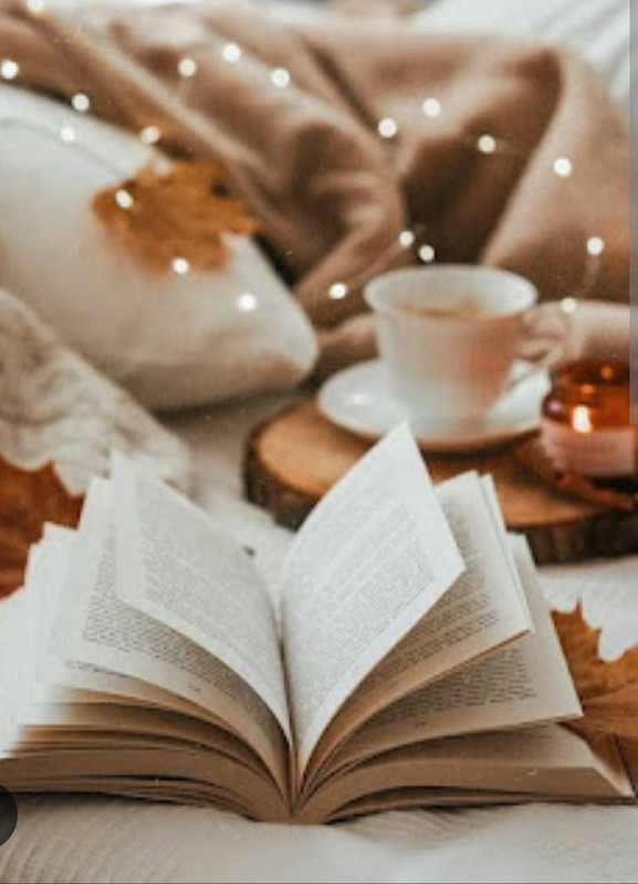 Screenshot_20221128-233520_Chrome