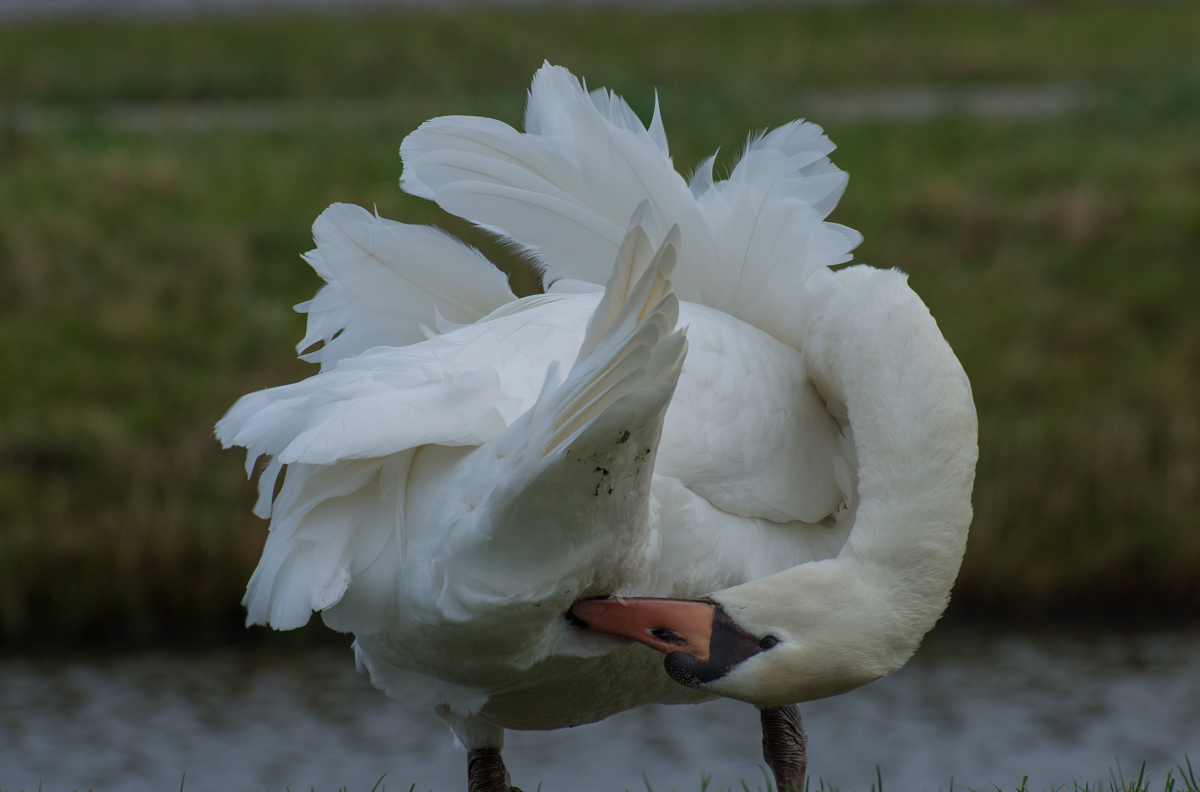 Fotografie