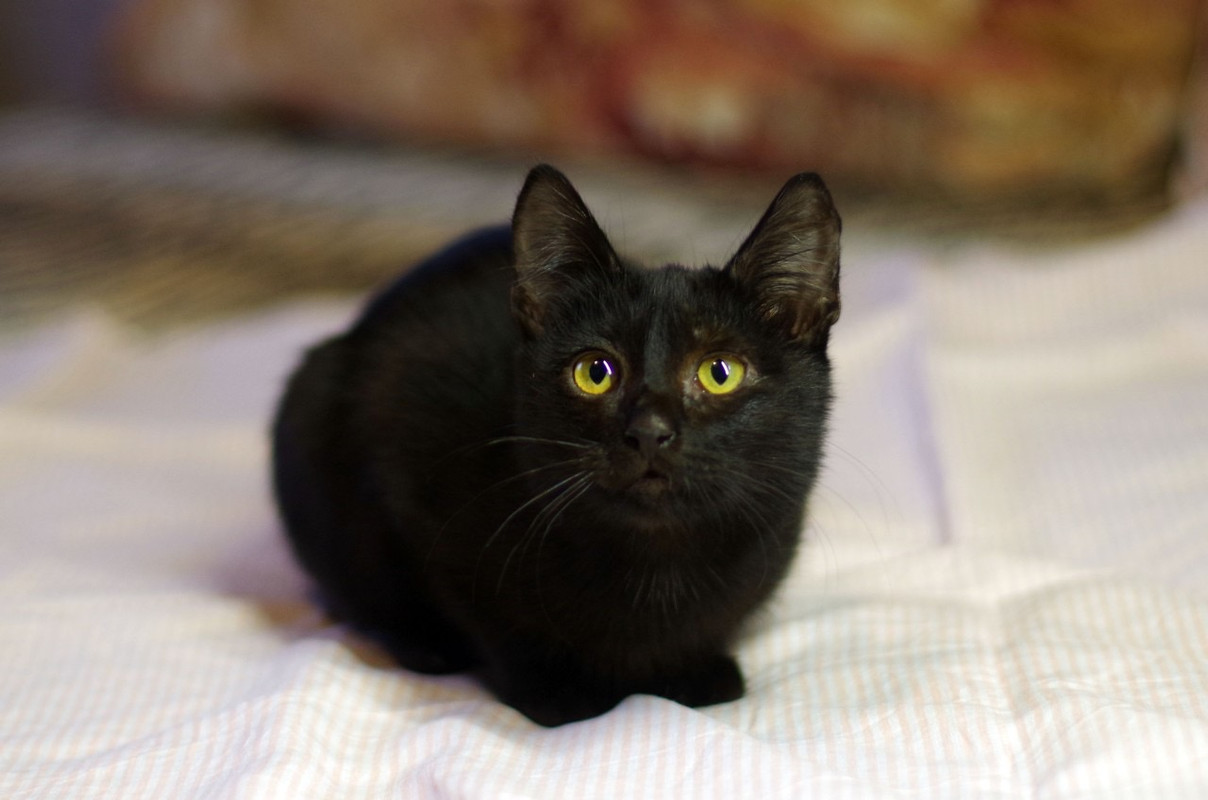 BEE3DEF3-CEC9-4231-94C0-1DC5A5C50654