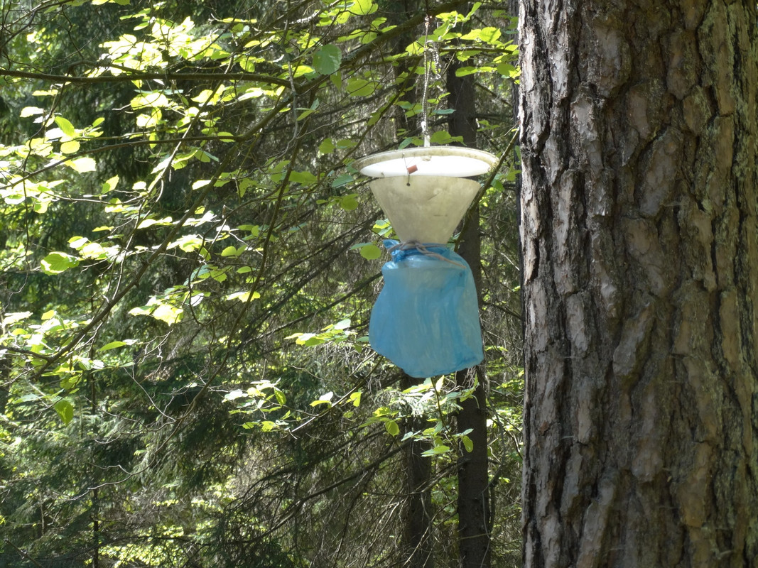 26 - DSC03881 (Czesio1)