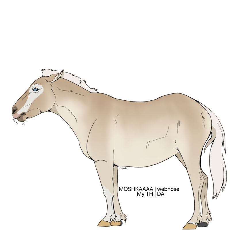 Untitled121-20260426142502.png