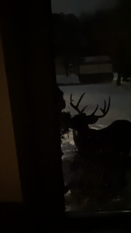 12A7B6DA-8130-4C19-A3BA-5DC2F3F88E75