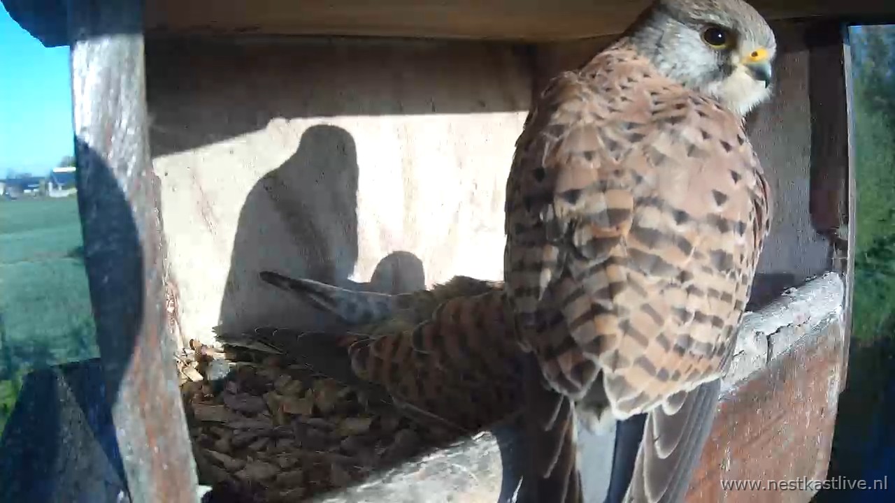 snapshot 2026 04 20T072646 879