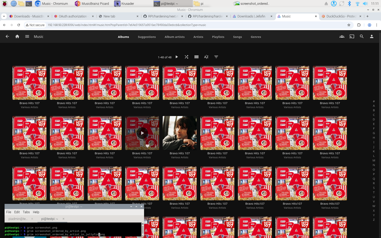 [Image: screenshot-ordered-by-artist-in-jellyfin.png]