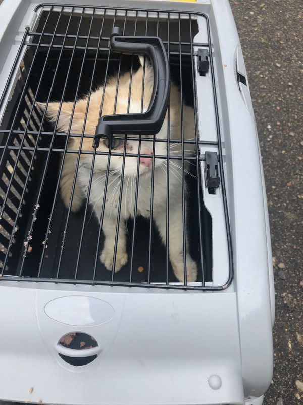 565AC8E3-B447-490B-A164-BDE113B62F6B