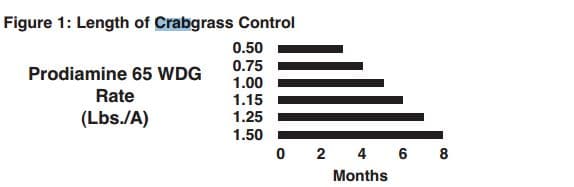 Annual Rates Strength