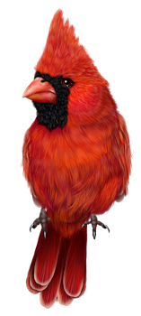 DaelmansDesigns-DearSanta-TS-PU-Element-08