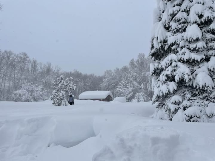 snowgo