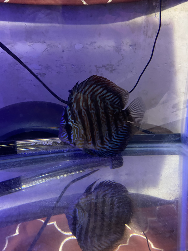 532056C1-9545-4752-8B37-94AC1BF3E1F7