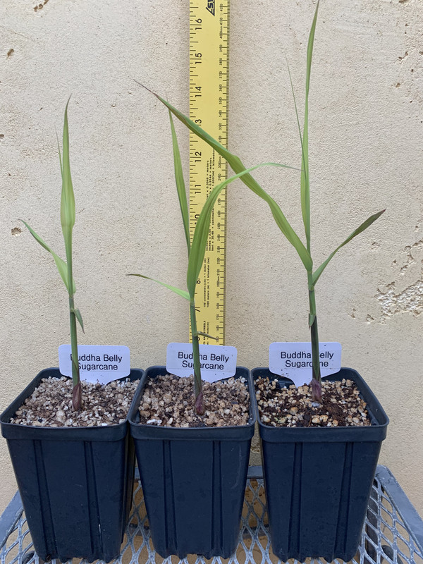 28B39C42-C93F-4BE8-91FE-BB27CAD3EEFA