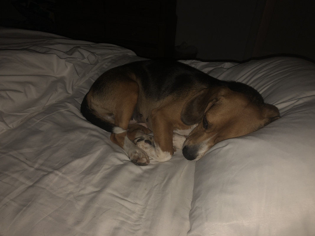 F0021E1D-E3E7-4855-B8A6-A60C930BE97D