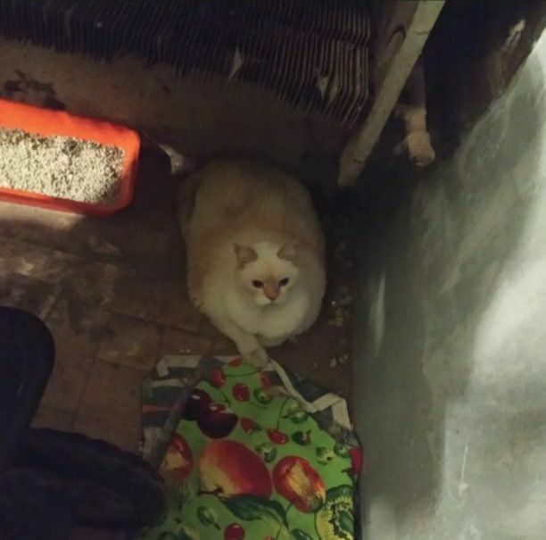 photo_2023-09-14_15-41-52 (2)