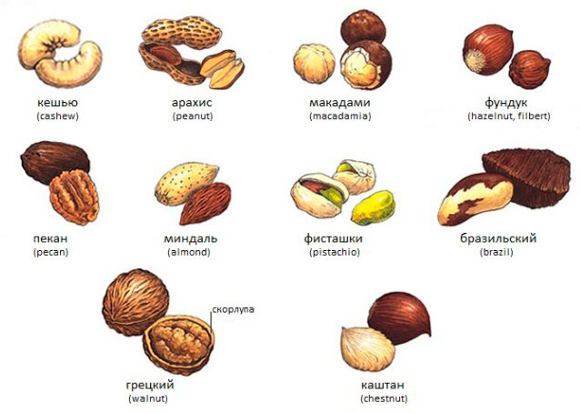 Орехи для сердца и кровеносных сосудов какие виды орехов стоит включать в рацион