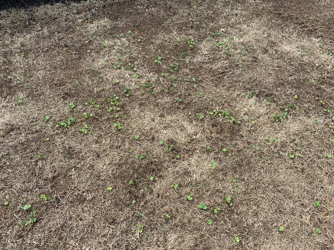 EC40A660-DF5B-4EDA-AE2B-1D3624DB729E