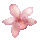 536
