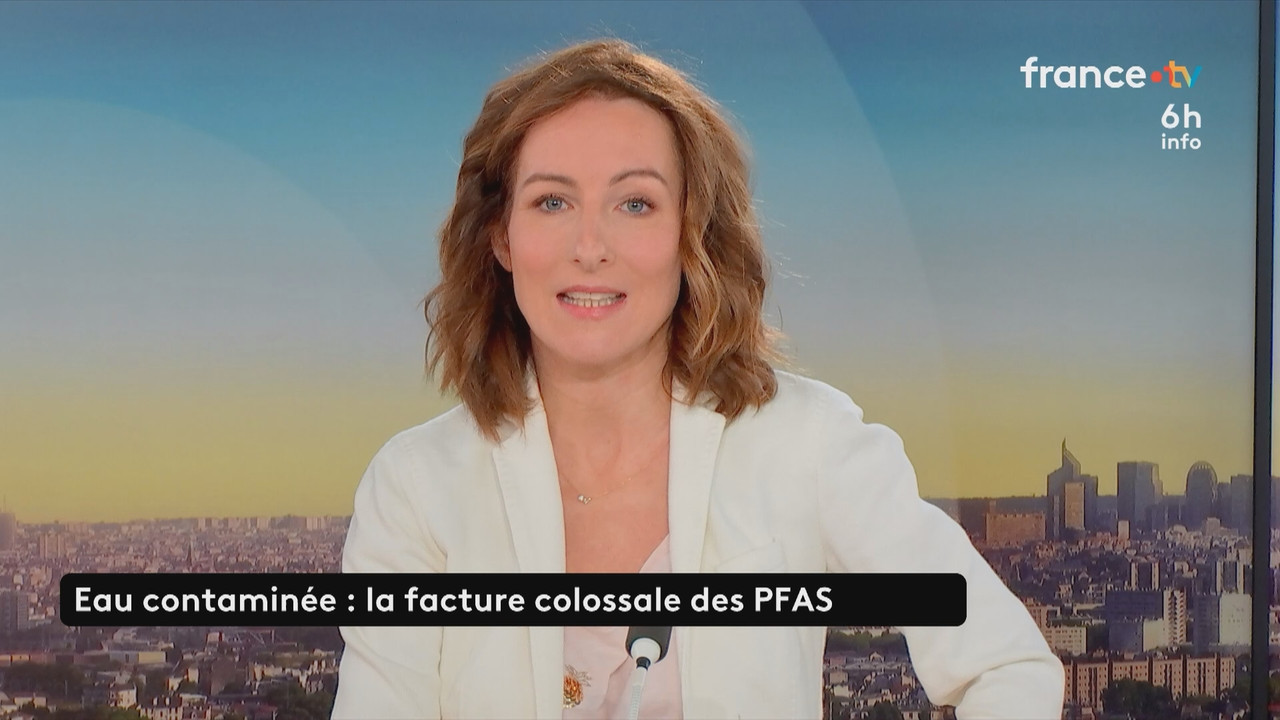 Le 6h info (France 2) 2026 01 30 04 55 12 ts snapshot 11 14 247