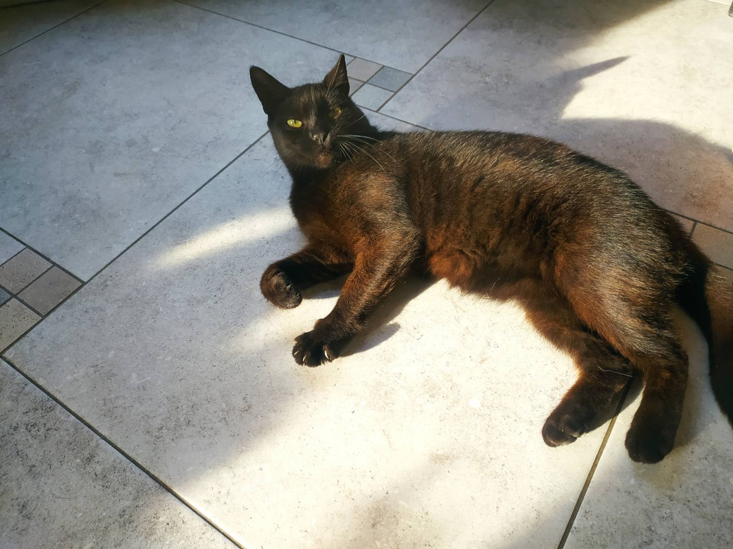 IMG-adfa5588950197719605a9ea7d82f03e-V