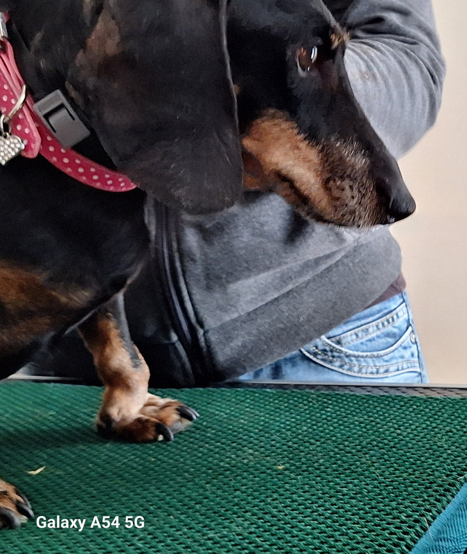 [Image: 20240703-170943.jpg]