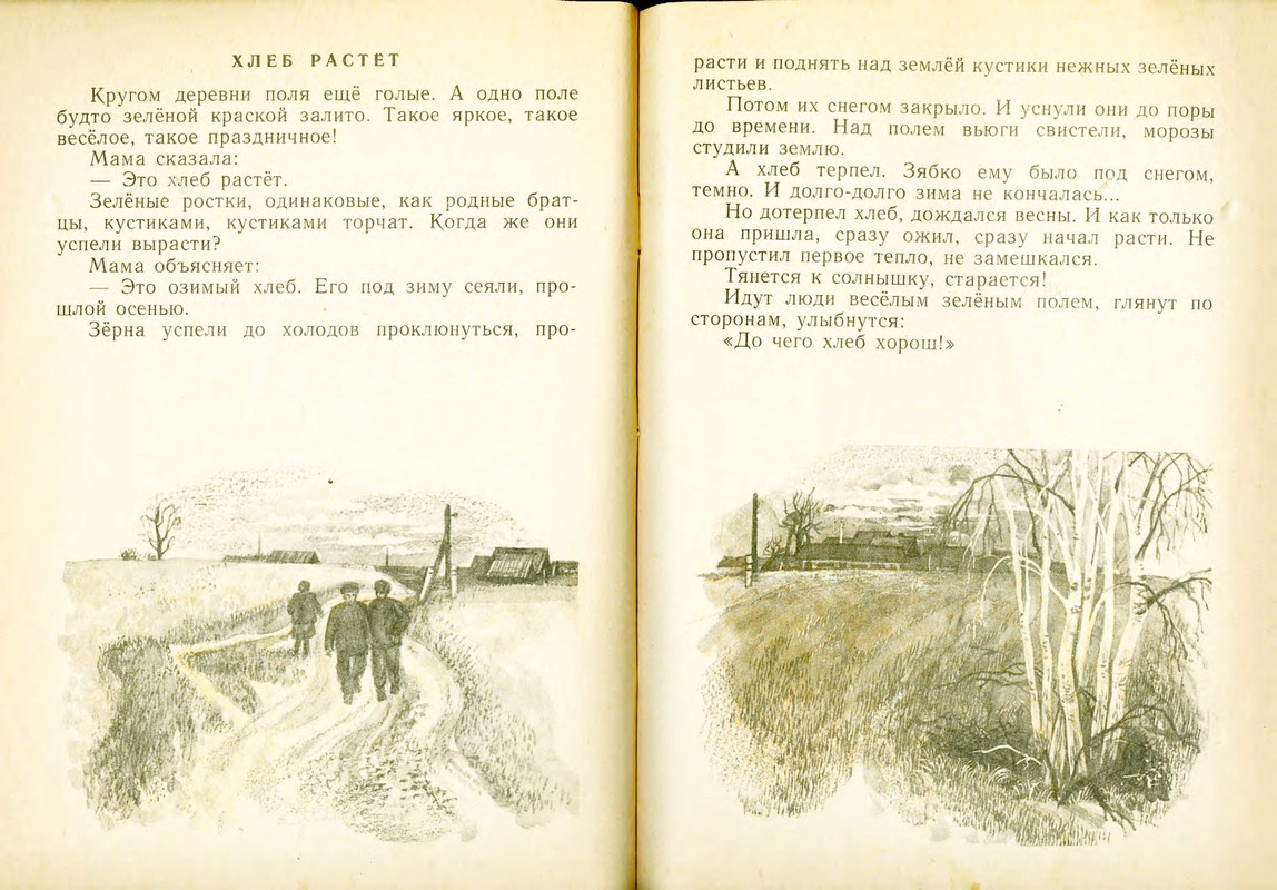 Шим Э. Ю. - Жук на ниточке - 1978_page-0005