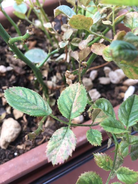 EAB8CC34-04A0-4B04-AB92-9012EE737D72