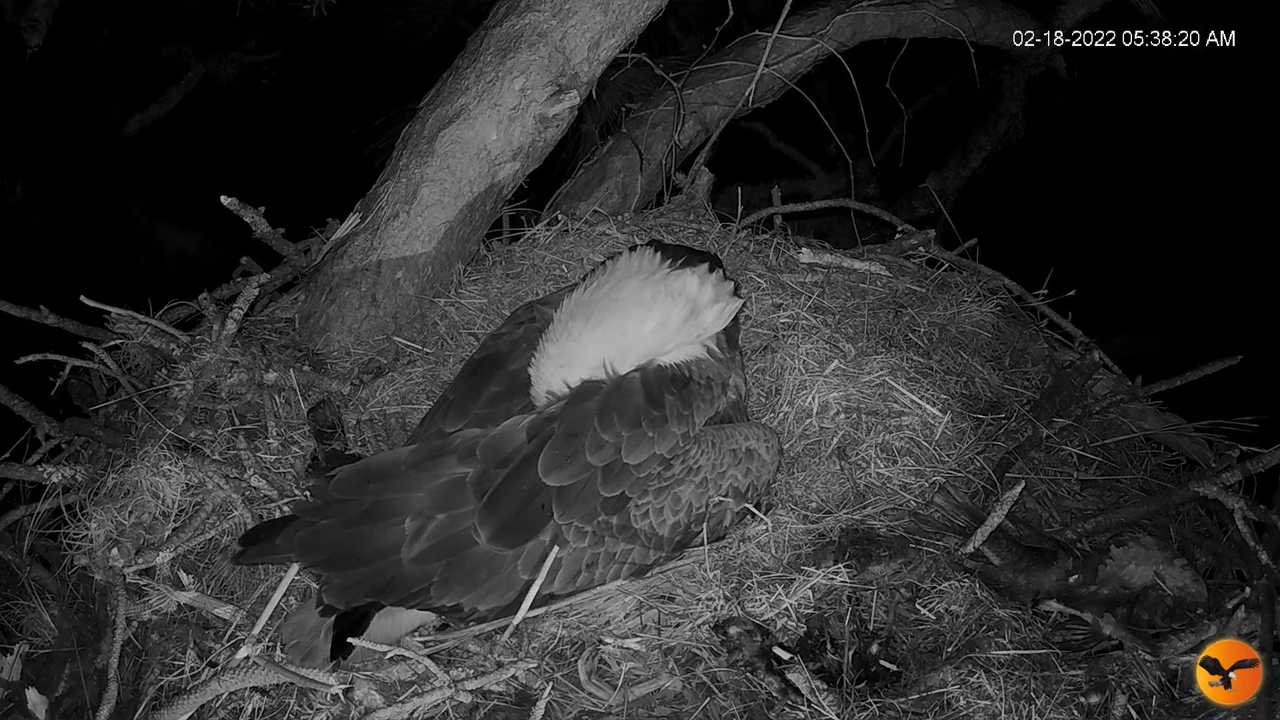 EC 4K Overhead Cam 14-1-17 screenshot