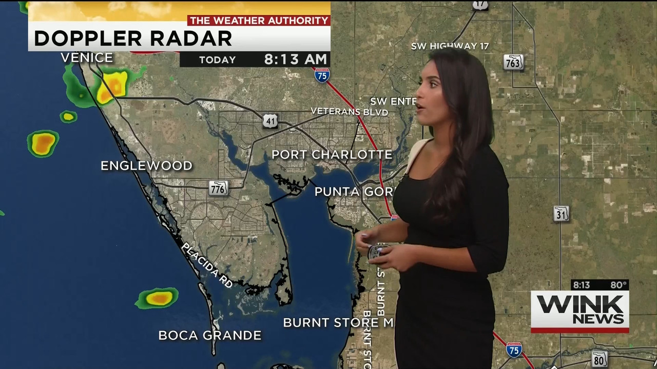 08.16 - 11.00.00 - WINK News @ 6 00AM Sunday..ts_snapshot_00.14.41.913