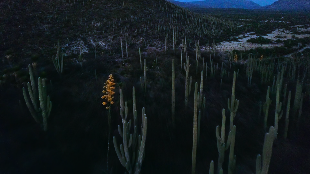 Night On Earth (2020) S01 1080p NF Webrip x265 10bit EAC3 5.1 - Ainz