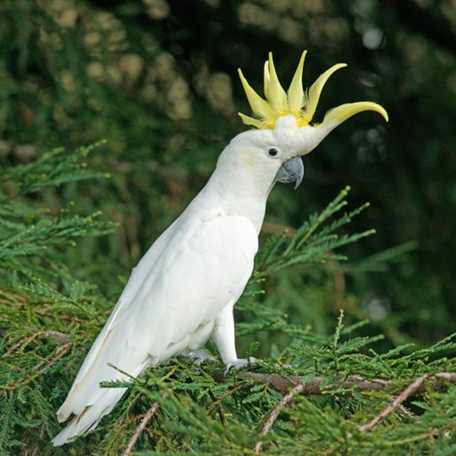 [Image: unnamed-32.jpg]
