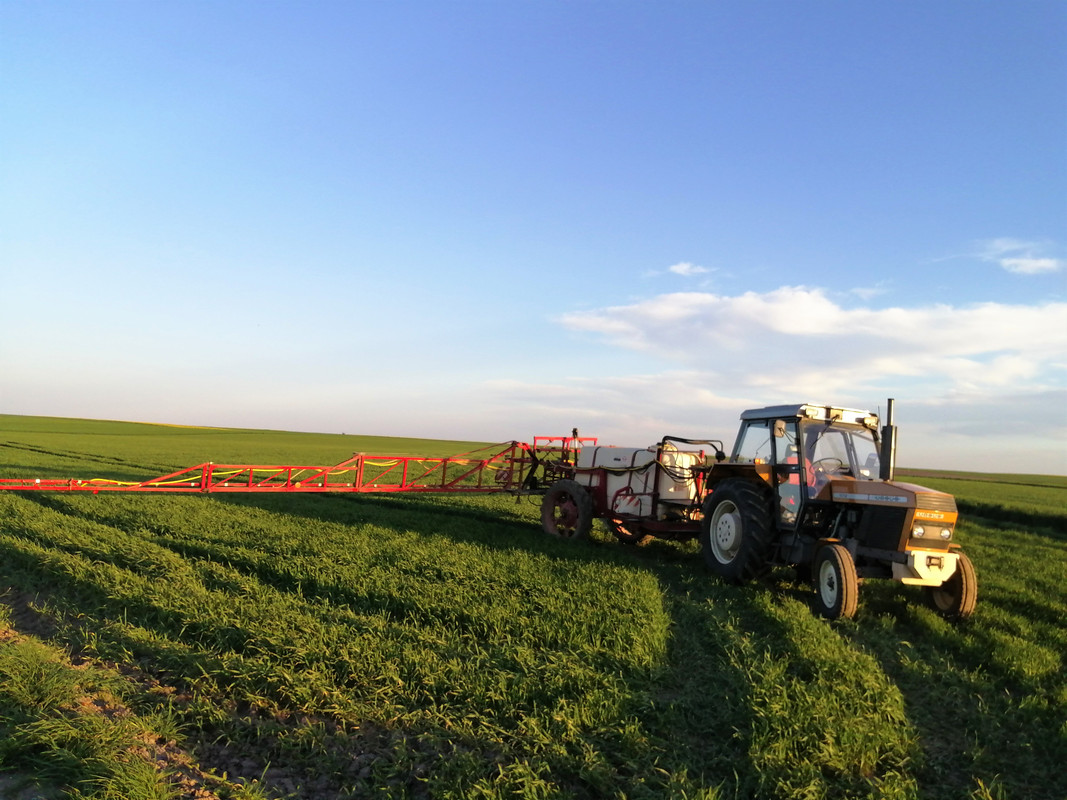 IMG_20210511_194135 (2)