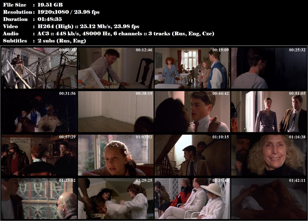Hotel New Hampshire / The Hotel New Hampshire (1984)