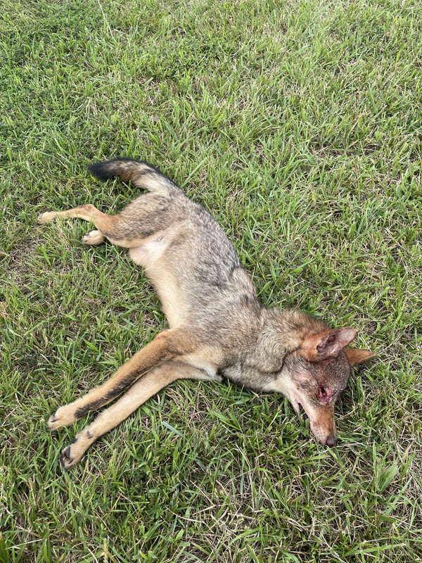 4E33059B-931B-4141-A861-56CDE5139833