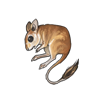 crittergerbil.png